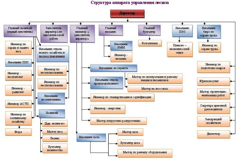 Структура лесхоза